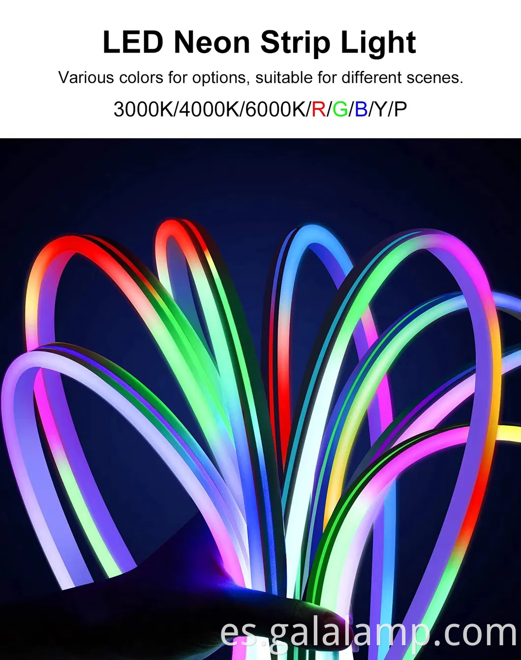 Strip de luz de neón flexible impermeable 5m SMD 2835 Signos al aire libre